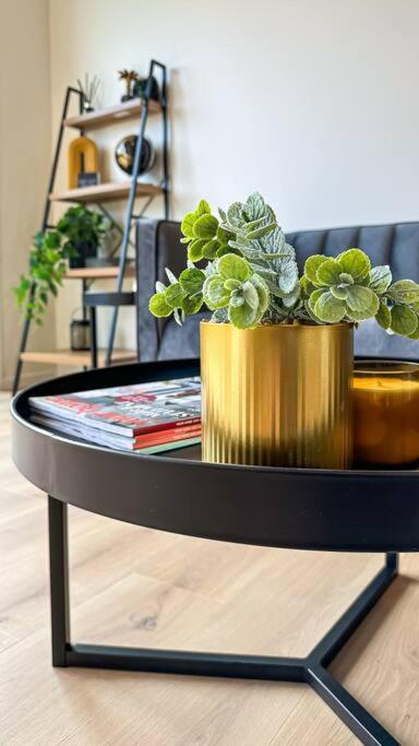 Hop, Skip, Jump To The City ! Christchurch Extérieur photo